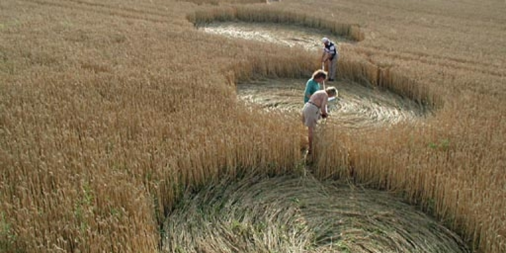 V M-klubu si posvítí na kruhy v obilí