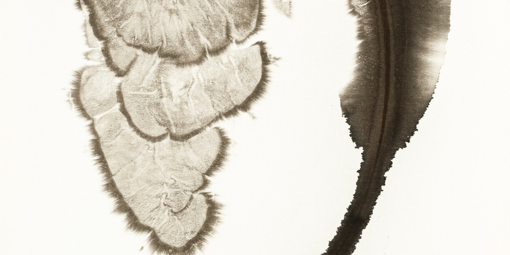 Náhodné kresby tuší Petra Nikla v meziříčské galerii 