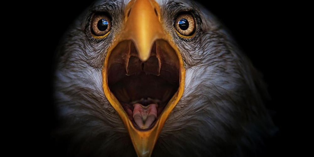 Czech Nature Photo – Nejlepší fotografie přírody