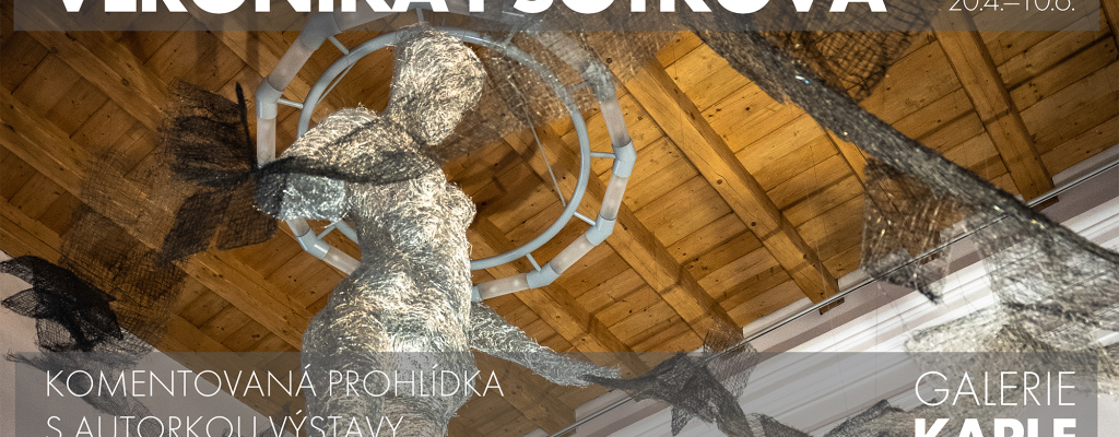 Poslední možnost setkat se s neopakovatelnou instalací i samotnou autorkou výstavy. Komentovaná prohlídka s Veronikou Psotkovou.