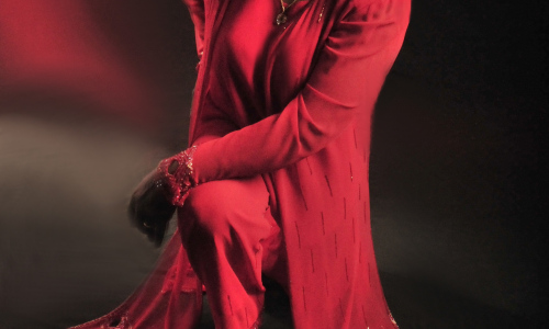 Gospely Janice Harrington, blues Davida Evanse i nespoutaná Radůza na Malé scéně za oponou